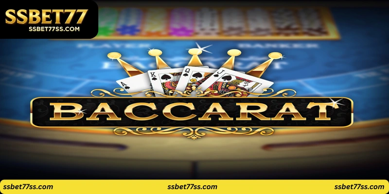 24/7 Baccarat Studio