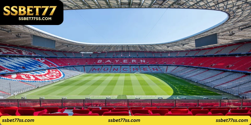 arenas where matches take place