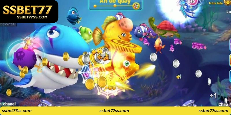 fish-shooting-rewards-FAQ