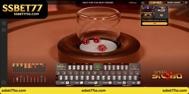 Fortune Dice Live