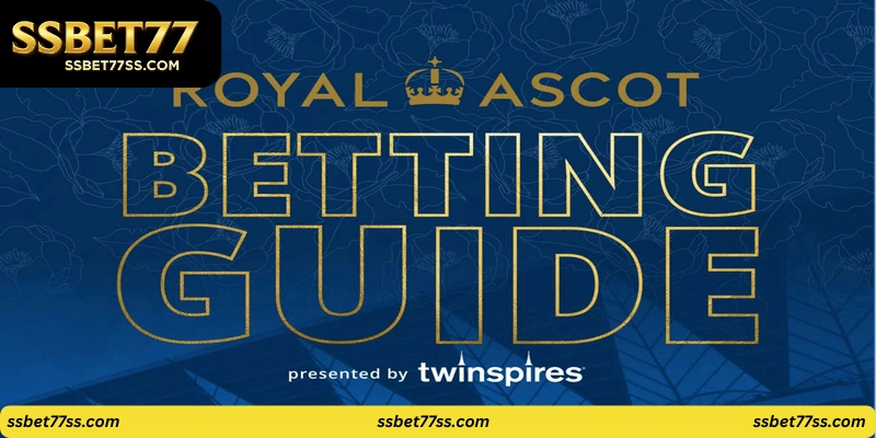 guides-on-how-to-bet-or-win-Strategies