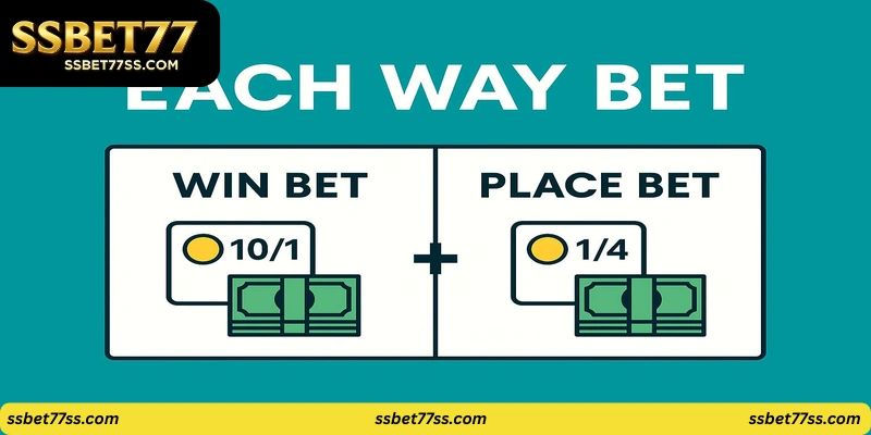 guides-on-how-to-bet-or-win-Real Real 