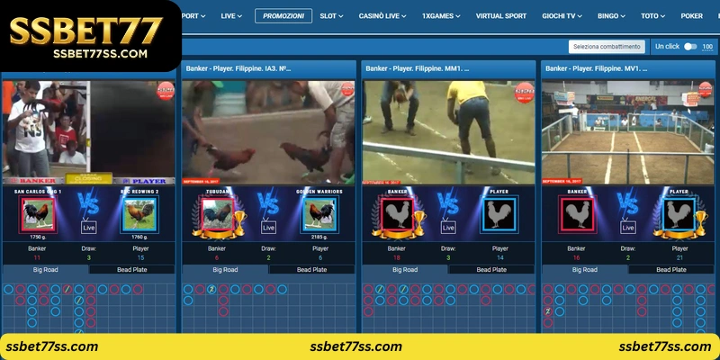 mobile-applications-for-cockfighting-Introduction