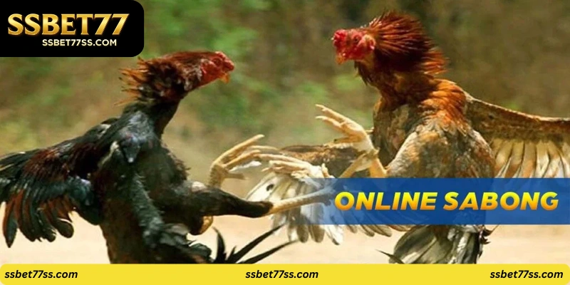 Pinoy Sabong Live