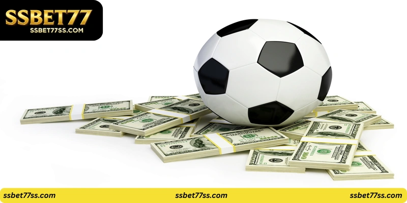 Pro Football Odds