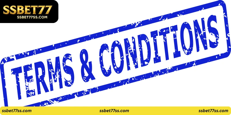 Terms and Conditions