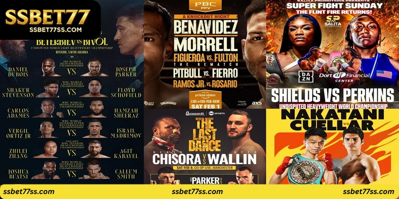 Trending daily search to find current fights